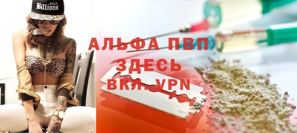 круглые Гусев