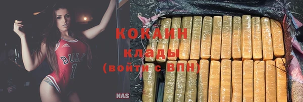 круглые Гусев