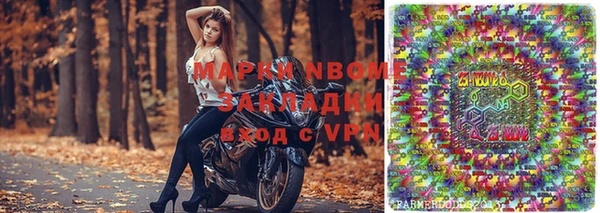 круглые Гусев