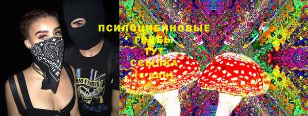 круглые Гусев