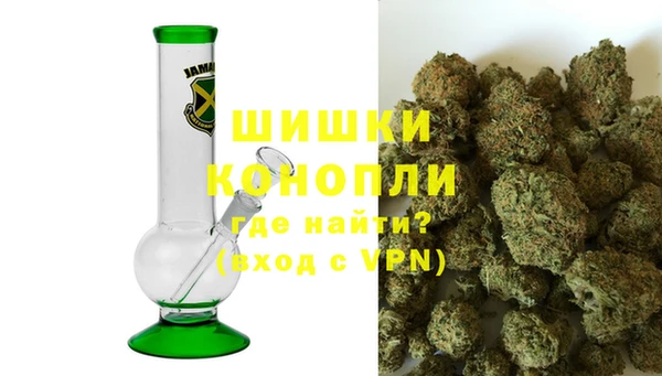 круглые Гусев