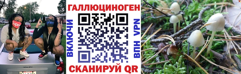 Псилоцибиновые грибы Cubensis  Сычёвка 