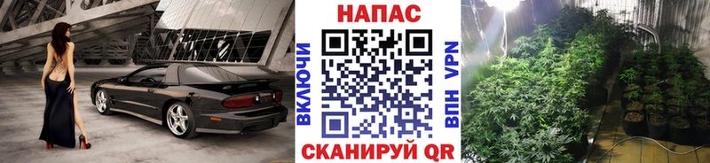 наркотики  Сычёвка  Каннабис Ganja 